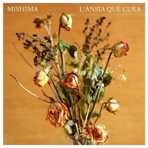 mishima-l-ansia-que-cura-portada